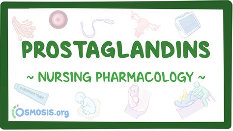 Prostaglandins: Nursing pharmacology: Video, Causes, & Meaning | Osmosis