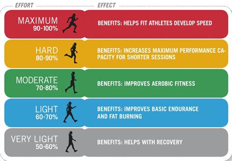 Training Tip: Using Heart Rate Zones for Maximum Cardiovascular ...