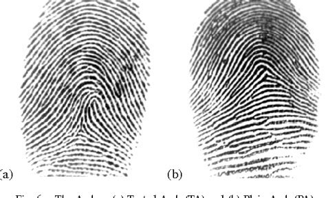 Figure 1 from A fingerprint pattern classification approach based on ...