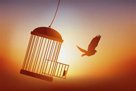 The Freedom of a Bird Leaving its Cage. 2170368 Vector Art at Vecteezy