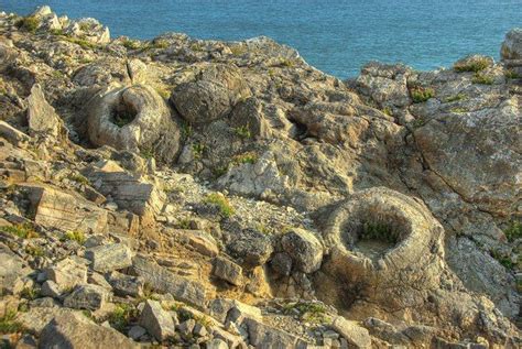 Dorset, Forest, Jurassic coast