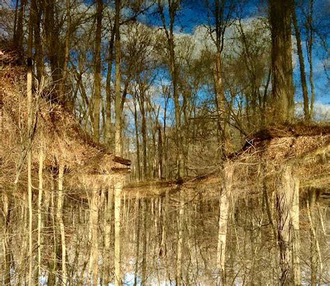 Free stock photo of fish pond, light reflection, ponds