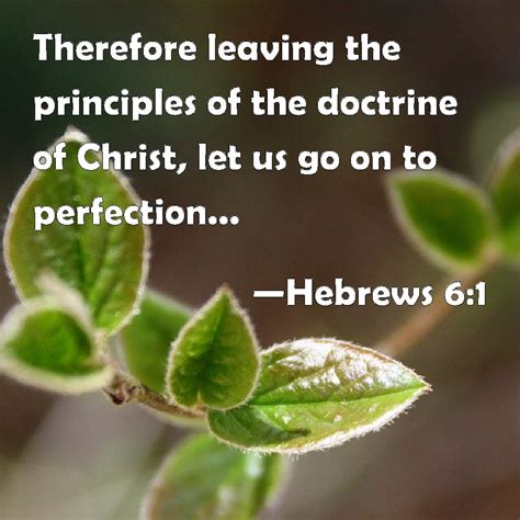 Hebrews 6:1 Therefore leaving the principles of the doctrine of Christ ...