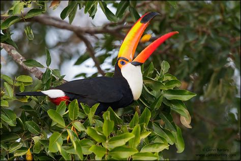 Glenn Bartley Nature Photography - The Best Photos of 2016