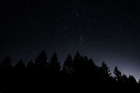 1680x1050 resolution | silhouette of tree, Starry sky, Trees, Night HD ...