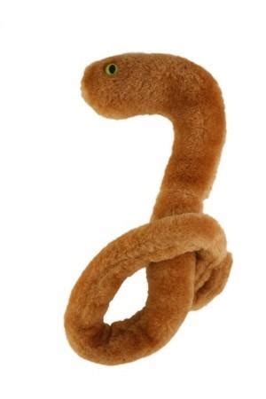 Ebola on Your Wishlist? Entire Stock of Ebola Virus Plush Toys Sold Out ...