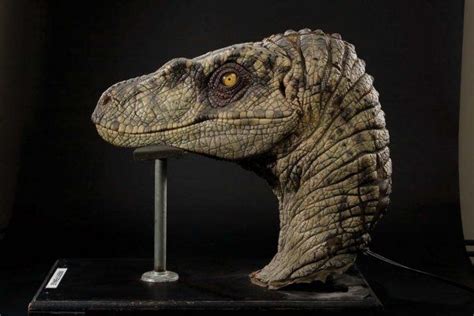 Female Velociraptor insert head Jurassic Park III (With images ...