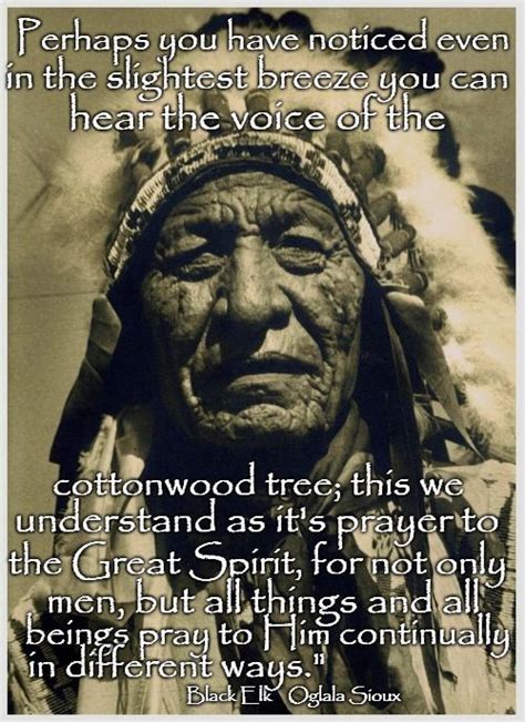 Black Elk Speaks | Native american quotes wisdom, American indian ...