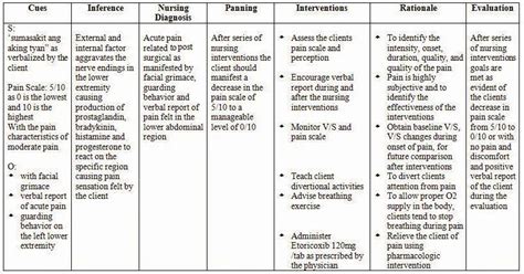 Acute Pain Nursing Care Plan - Stephanie James