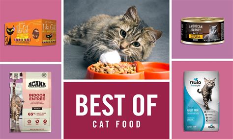 Best Cat Food Brands In 2023 For Wet, Dry, Fresh, Kitten Food, And More ...