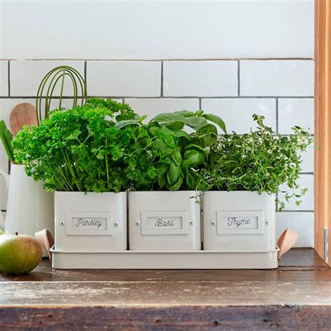 10 Charming Indoor Herb Garden Planters | Taste of Home