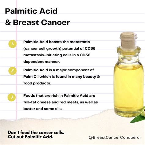 What does Palmitic Acid have to do with Breast Cancer? - Breast Cancer ...