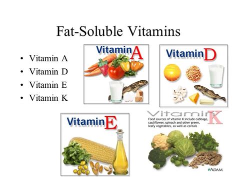 Fat and Water Soluble Vitamins | HubPages