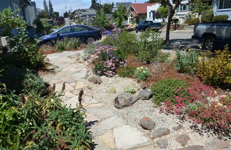 California Native Garden, Front Yard Plants, Achillea, East Bay, Salvia ...