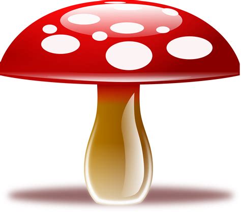 Mushroom PNG Transparent Images | PNG All - ClipArt Best - ClipArt Best