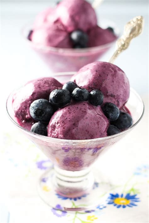 BLUEBERRY FROZEN YOGURT – Nature Knows