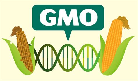 Why the GMO debate still matters - New Food Magazine