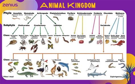 Materi Prinsip Prinsip Dasar Klasifikasi Makhluk Hidup Mapel Biologi ...