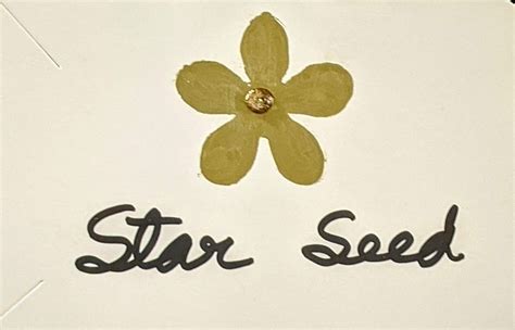 Home | Star Seed Jewelry Art