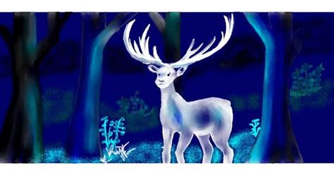 Drawing of Deer by Kim - Drawize Gallery!