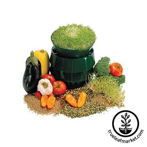 Deluxe Sprouting Kit | Home Seed Sprout Growing Kit