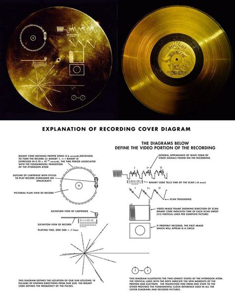 The Voyager Golden Record (1977) nel 2024 | Scienza, Tatoo