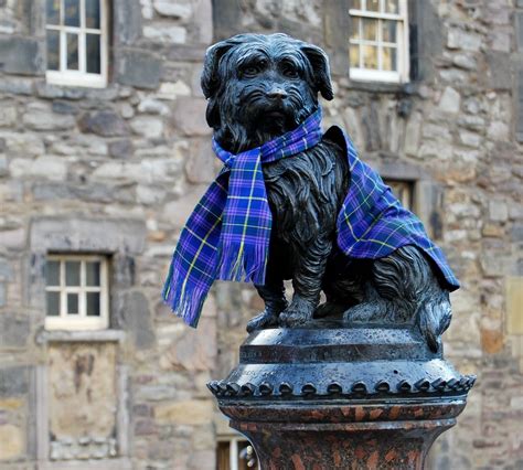 Greyfriars Bobby | Edinburgh, Greyfriars bobby, Edinburgh scotland