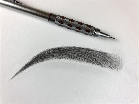 How To Draw Eyebrows For Beginners Step By Step at Drawing Tutorials