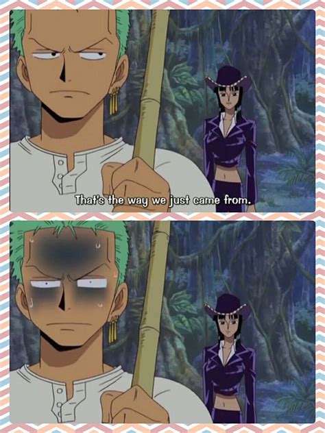 Funny Zoro and Robin Moments | One Piece Photo Collages