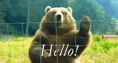 Hello Bear Waving GIF - Hello BearWaving FriendlyBear - Discover ...