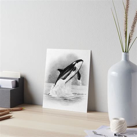 "ORCA, Whale Breaching, Pencil Drawing, Wildlife, Marine Life, Ocean ...