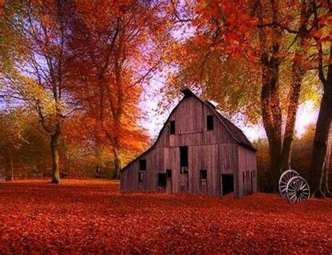 Beautiful old barn with fall colors | Barns | Pinterest