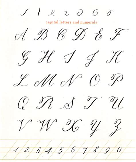 Calligraphy Alphabet : cursive calligraphy alphabet