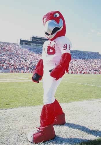 Miami University RedHawks costumed mascot - Swoop College Sports ...