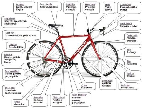 Krise Literatur Arktis bike parts and accessories Engagieren Inspektion ...