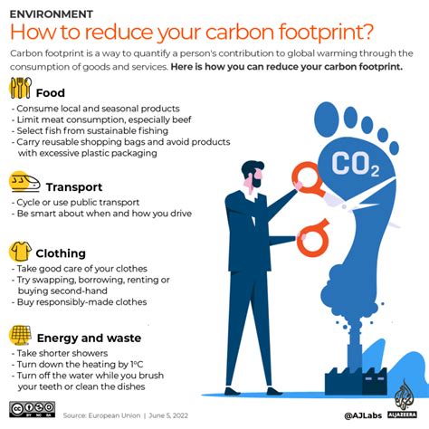 Infographic: How can you reduce your carbon footprint? | Infographic ...