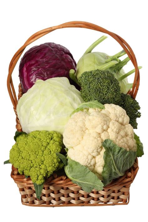 Cabbage varieties stock image. Image of brassica, healthy - 6417897