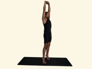 Talasana- Palm tree pose | Prana Yoga