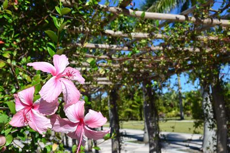 Hialeah Gardens Botanical Garden | Hialeah Gardens, FL