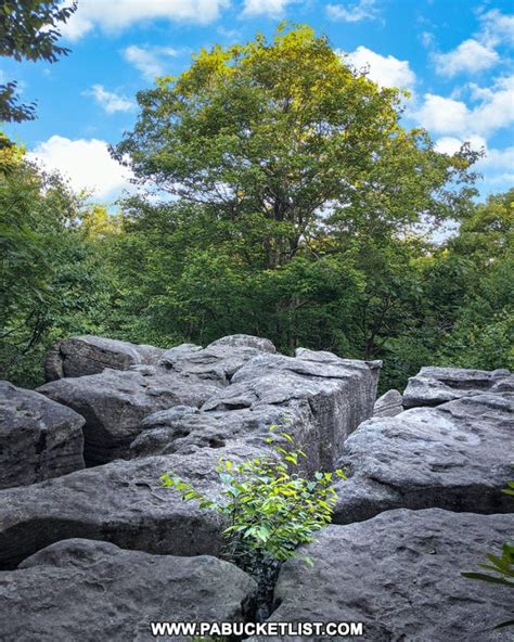 Exploring Mount Davis - The Highest Point in Pennsylvania