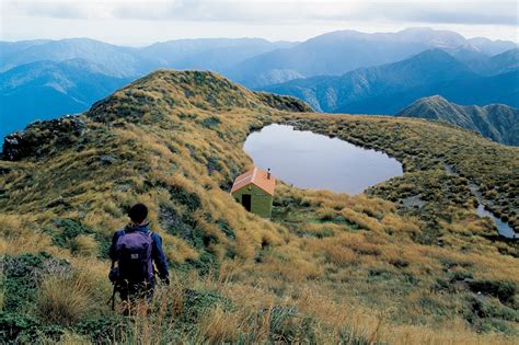 Southern Crossing: Tararua Forest Park | New Zealand Geographic