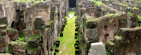 Colosseum Underground Guided Tour & Tickets - City Wonders