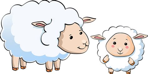 Download Sheep, Lamb, Young. Royalty-Free Vector Graphic - Pixabay