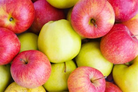 Green Vs Red Apples – What’s The Difference? - Foods Guy