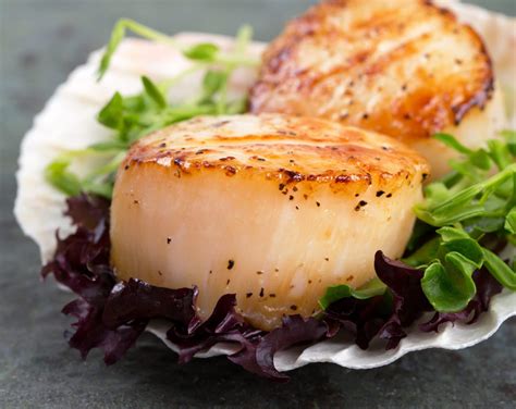 How to Cook Scallops- Perfect Pan Seared Scallops