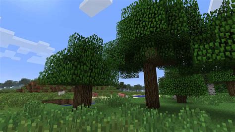 A Guide About Where To Find Dark Oak In Minecraft?