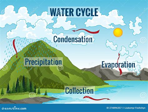 Water Cycle Diagram. Earth Hydrologic Process. Environmental ...