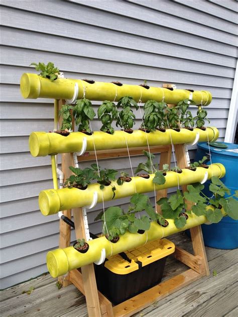 Pin on Hydroponic & Aquaponic Gardening