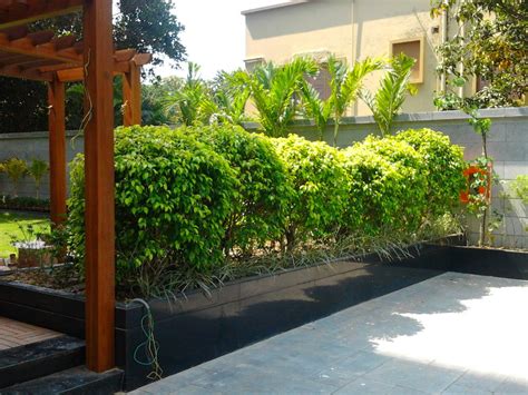 Landscaping Plants for Terrace Garden, आउटडोर प्लांट - Universal ...