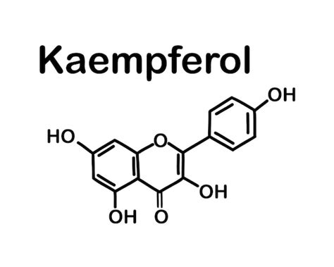 Kaempférol. Structure chimique | Vecteur Premium